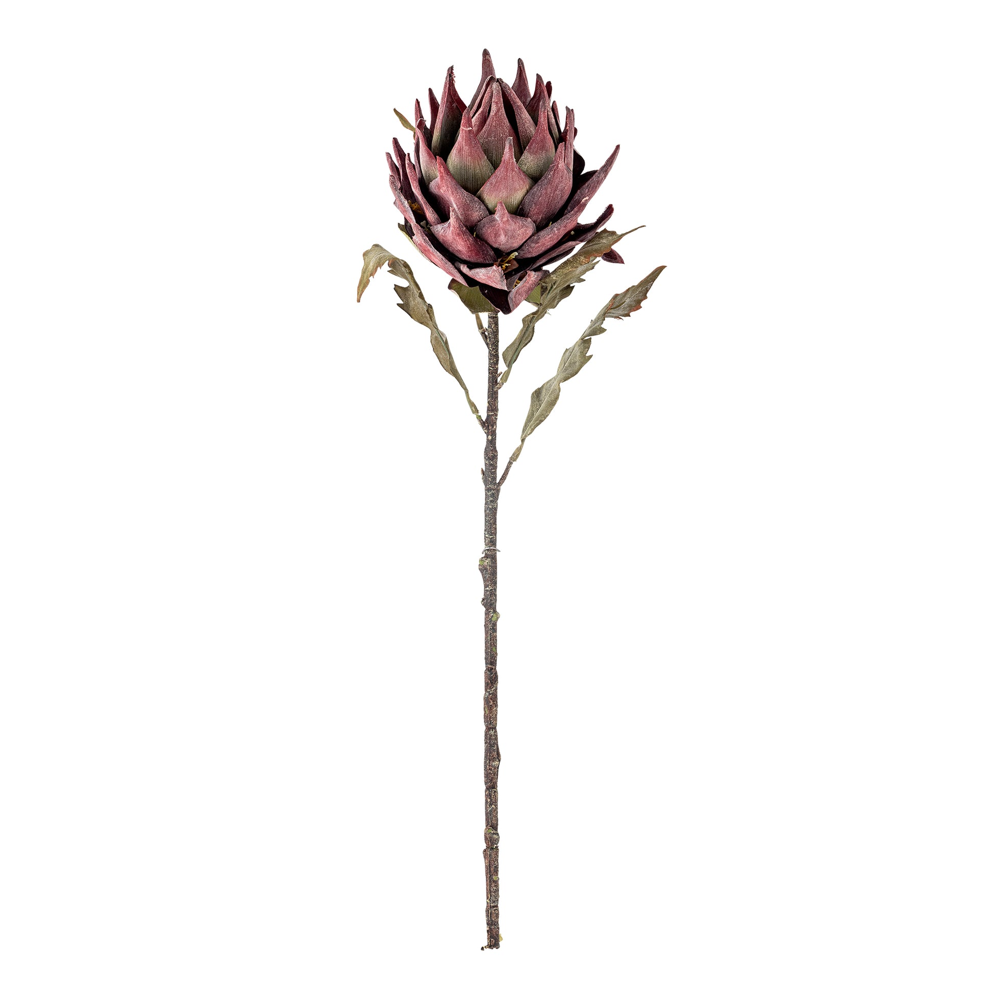 Protea Stilk, Kunstige Blomster