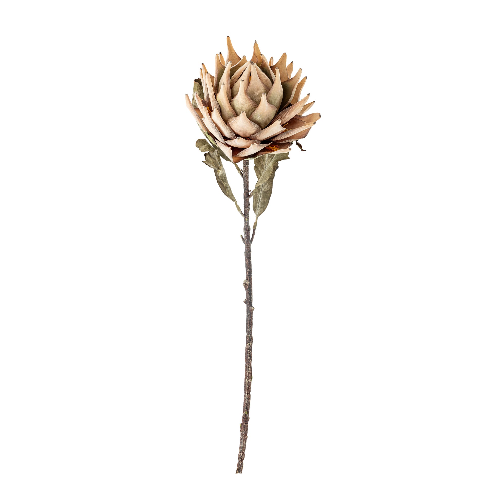 Protea Stilk, Kunstige Blomster