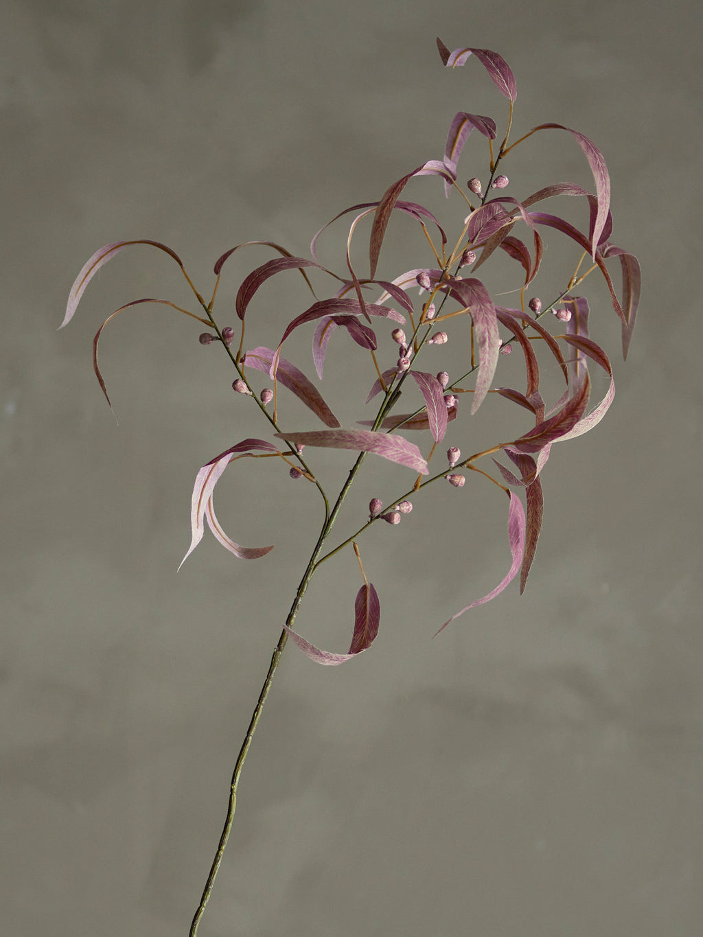 Eucalyptus Stilk, Kunstige Blomster