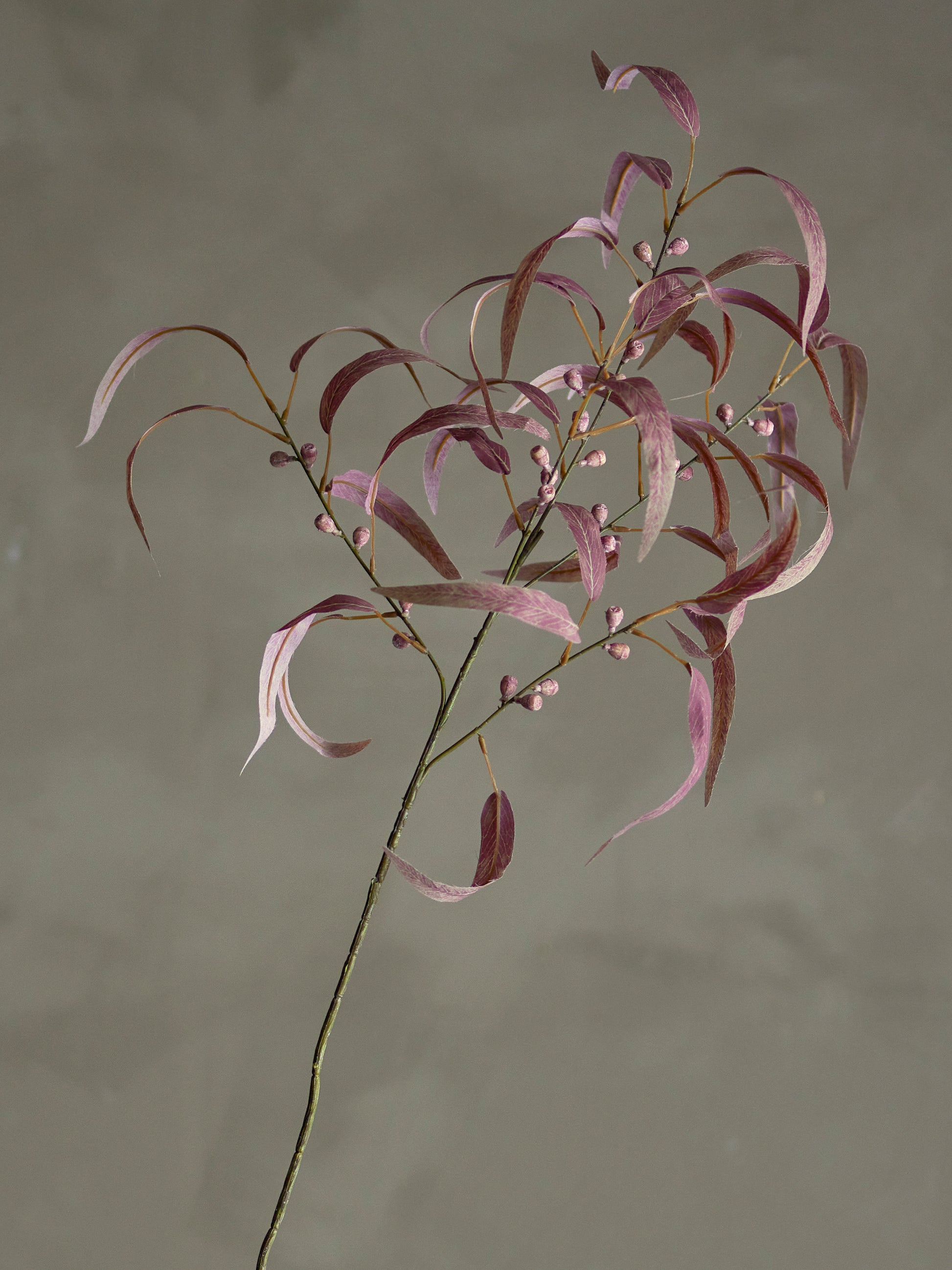 Eucalyptus Stilk, Kunstige Blomster