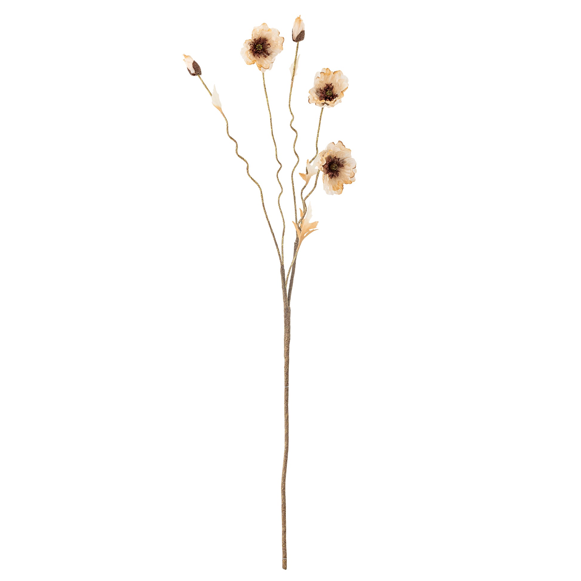 Poppy Stilk, Natur, Kunstige Blomster