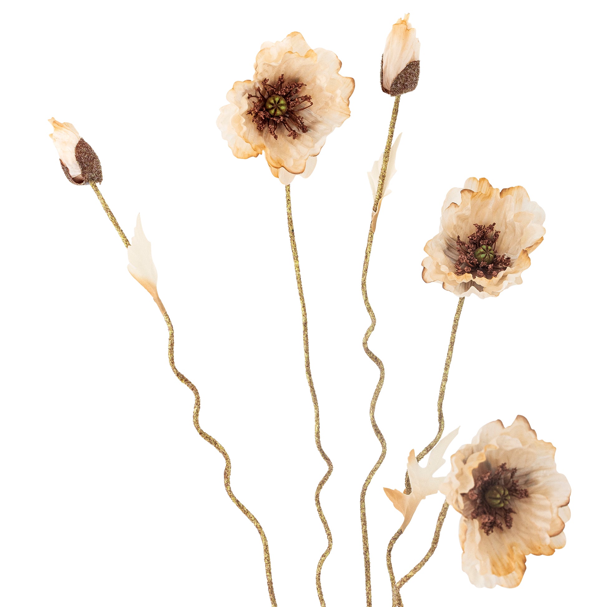 Poppy Stilk, Natur, Kunstige Blomster