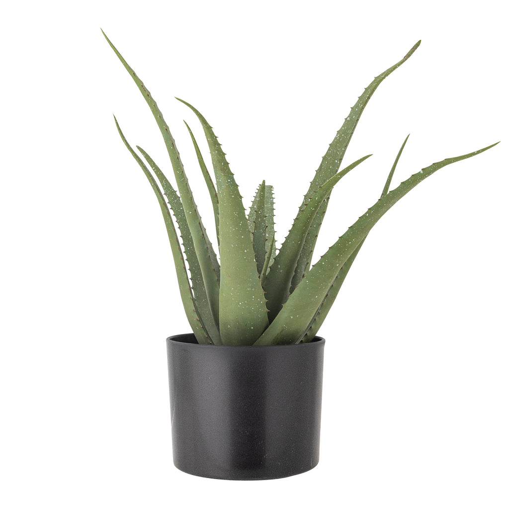 artificial aloe vera plant Aloe Plant, Green, Artificial Flowers – Tiensuu Studio