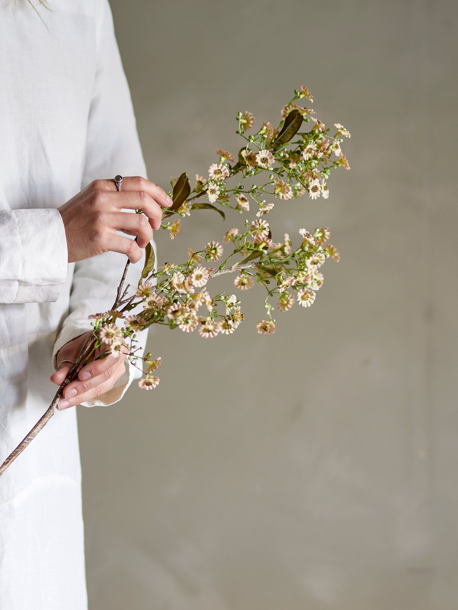 Waxflower Stilk, Hvid, Kunstige Blomster
