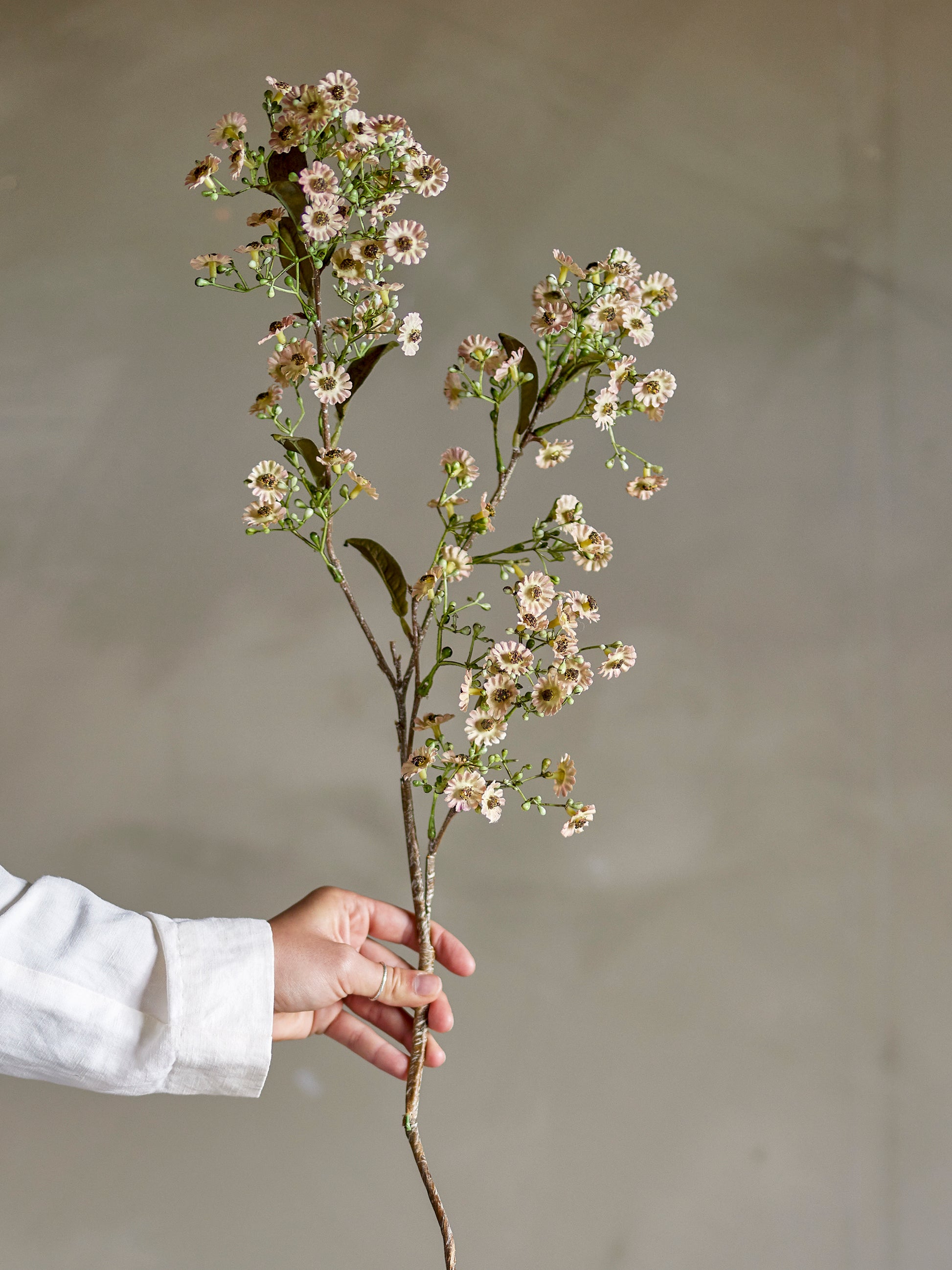 Waxflower Stilk, Hvid, Kunstige Blomster