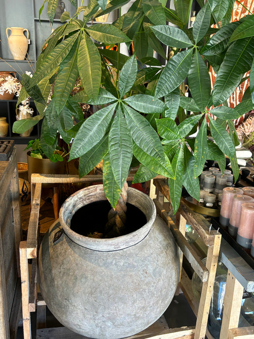 Antik Bali Krukke